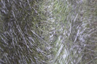 Whirley Grove fibreglass roof work